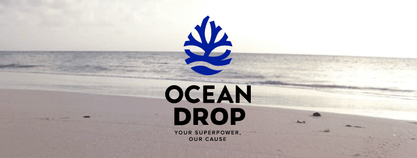 Ocean Drop: como o sonho de reconectar as pessoas ao oceano se materializou