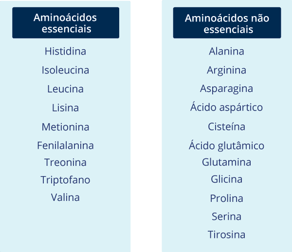 Aminoácidos : Tabela aminoácidos essenciais e não essenciais