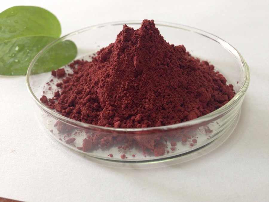 antioxidantes mais poderosos : astaxantina