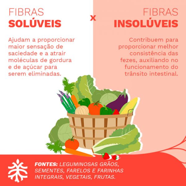 A Importância Das Fibras Alimentares Para A Saúde Digestiva 4002