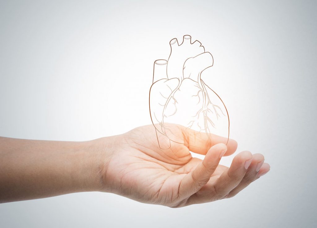 Para que serve zinco quelado: doenças cardiovasculares