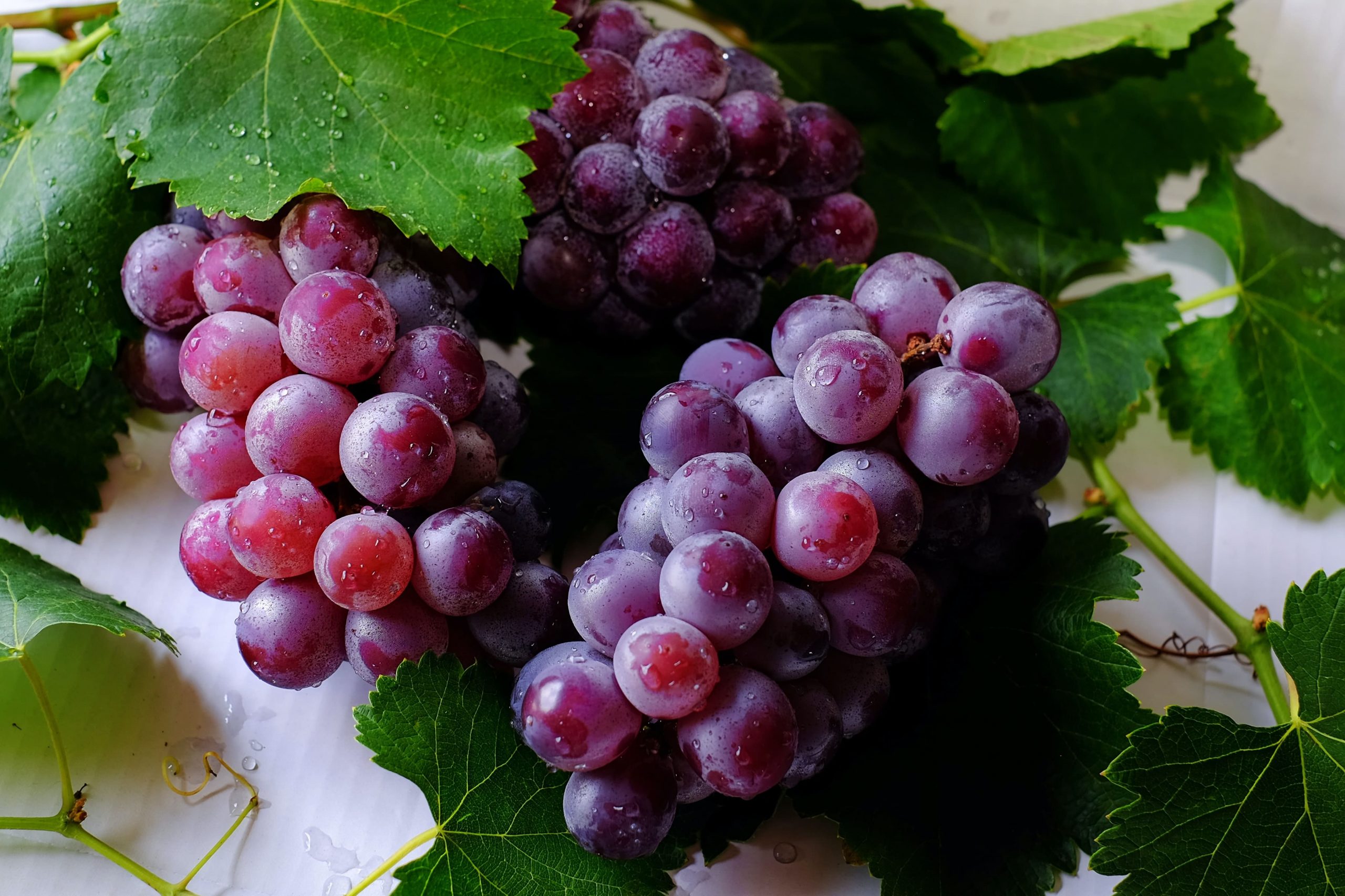 Óleo de semente de uva: o que é, para que serve e onde comprar