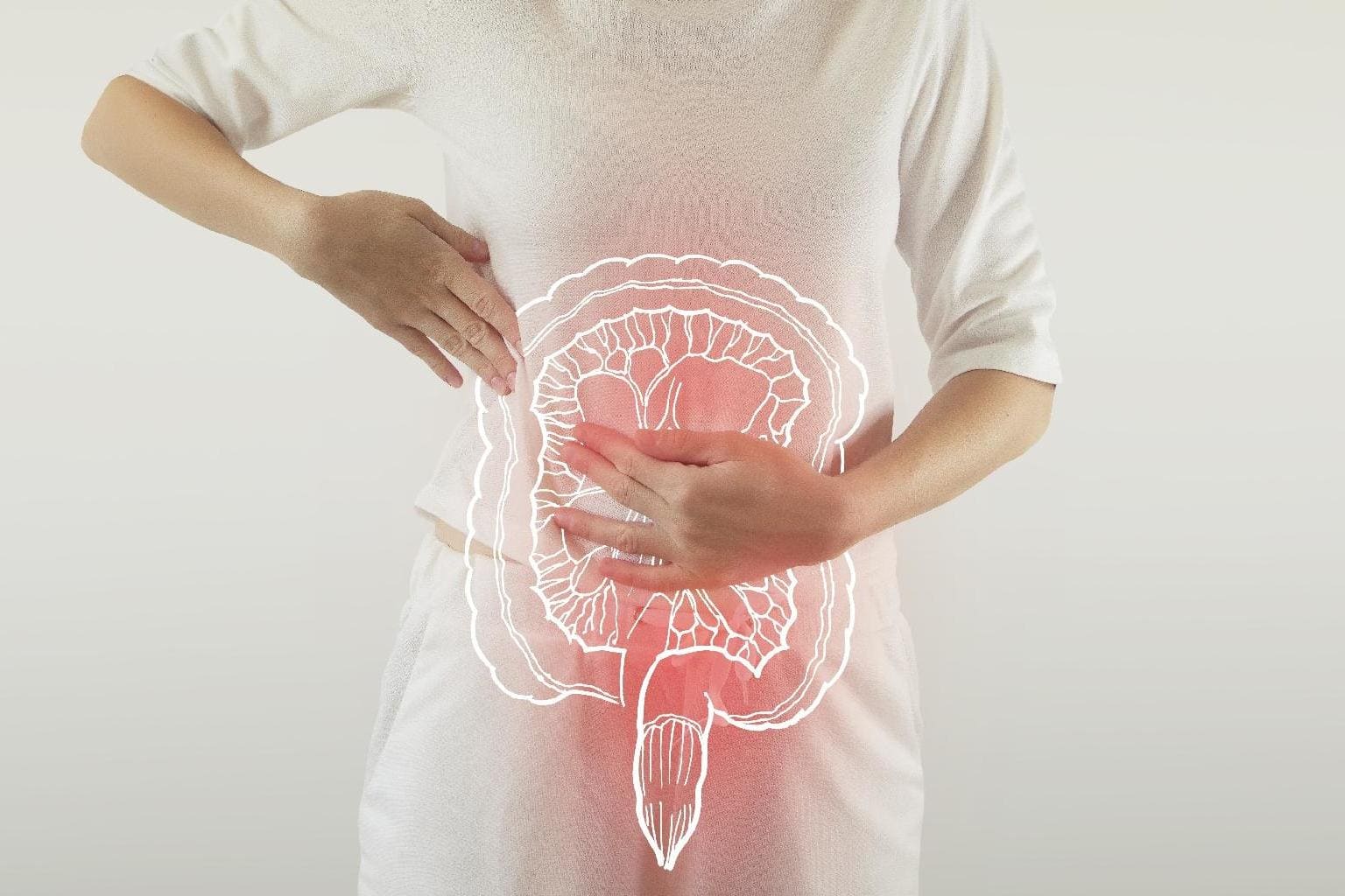 Disbiose intestinal: o que é, sintomas, causas e como regenerar